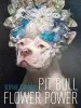 Audiobook Pit Bull Flower Power author Sophie Gamand