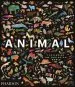 Audiobook Animal: Exploring the Zoological World author Phaidon Editors