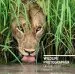 Audiobook Wildlife Photographer of the Year: Portfolio 28 author Rosamund Kidman Cox