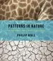 Audiobook Patterns in Nature: Why the Natural World Looks the way it Does author Philip Ball