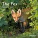 Audiobook The fox Calendar 2019 author Jane Russ