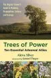Audiobook Trees of Power: Ten Essential Arboreal Allies author Akiva Silver