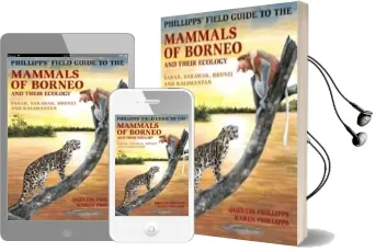 A Naturalist'S Guide to the Butterflies of Borneo Audiobook download free by Honor Phillipps