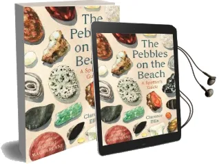 The Pebbles on the Beach Audiobook download free by Clarence Ellis