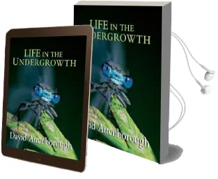 Life in the Undergrowth Audiobook download free by Sir David Attenborough