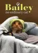 Audiobook Bailey, no Ordinary cat author Erin Merryn