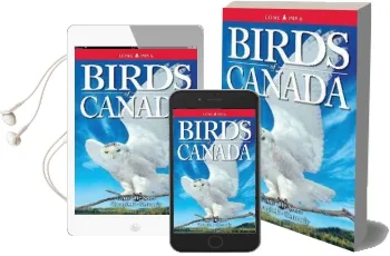 Birds of Canada Audiobook download free by Tyler L. Hoar